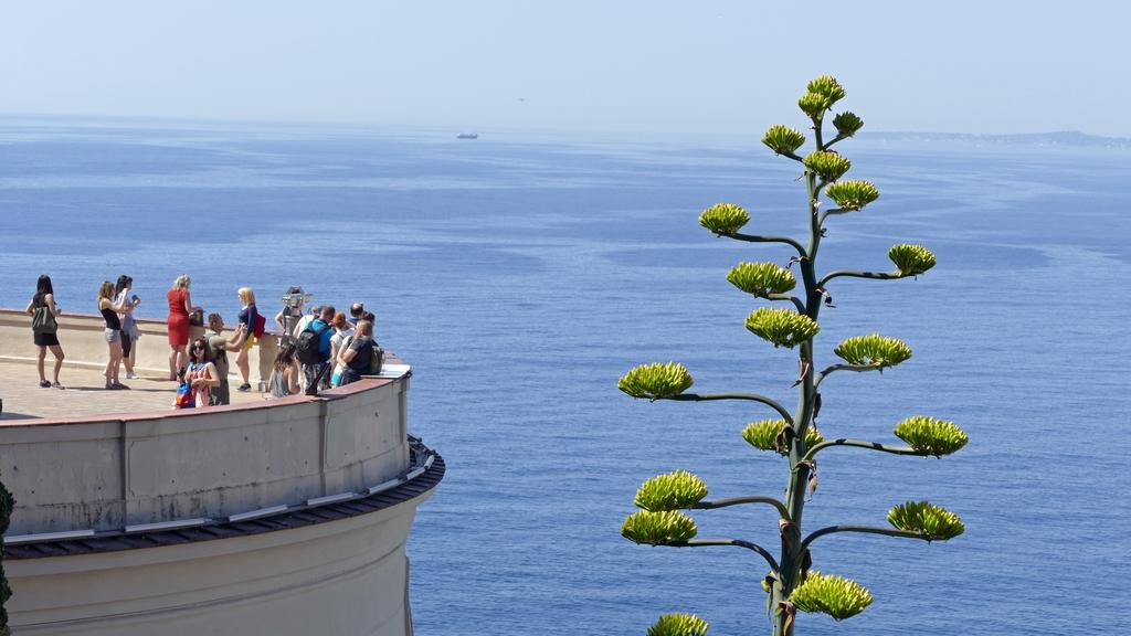 Chambre Chez L'Habitant Nice Baie Des Anges Экстерьер фото